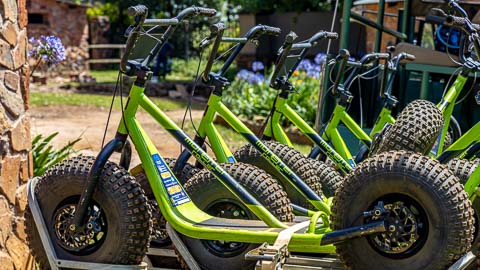 Long Tom Scootours | Misty Mountain