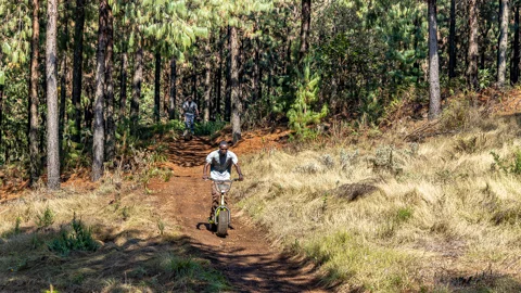 Long Tom Scootours | Misty Mountain