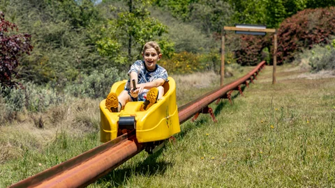 Long Tom Toboggan | Misty Mountain