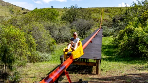 Long Tom Toboggan | Misty Mountain